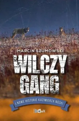 Obrázok produktu pre ISBN 978-83-662-4238-8, Polština, tvrdý obal, 304 strany