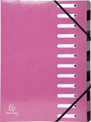 Immagine prodotto di Cartella organizer Iderama A4 12 scomparti in cartone rosa confezione da 6