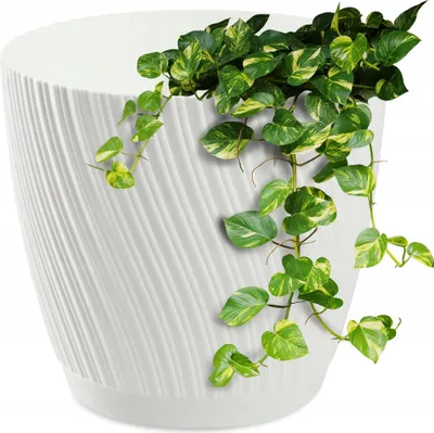 Produktbild von KADAX Blumentopf mit Untersetzer "Tubas", Blumenkübel, Pflanztopf aus Kunststoff, Übertopf, rund, 15 cm, Weiß