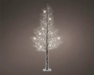 Produktbild von LED Baum Lumineo beleuchtet