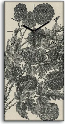 Produktbild von Dekor Leinwand Uhr Wandbilder 30x60 Zeichnung Früchte Beeren Blätter Zweig - schwarze Hände