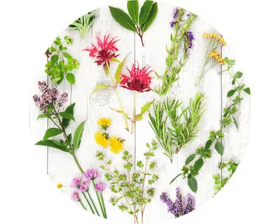 Produktbild von Glasbild Herbs & Flowers Ø 20 cm