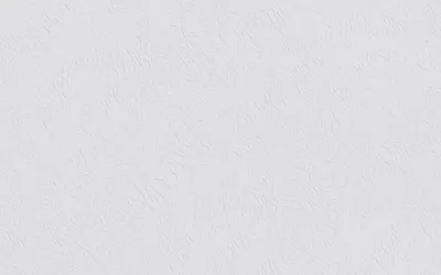 Produktbild von Erfurt Vliestapete Basic 100 weiß 10,05 x 0,53 m