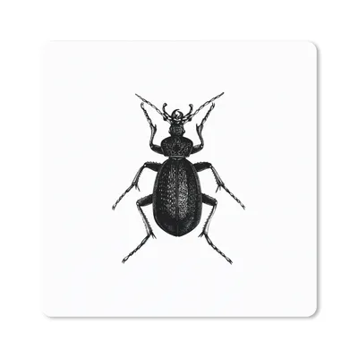 Produktbild von MuchoWow® Mauspad Mousepad Schwarz und weiß - Käfer - Vintage - Insekten 20x20 cm - Mousepads - Maus Mat - Pad - Mausunterlage - Desk Mat - Bureauartikeln