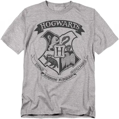 Produktbild von Harry Potter - T-Shirt für Herren/Damen Uni, Baumwolle TV35426 (4XL) (Sport Heide)