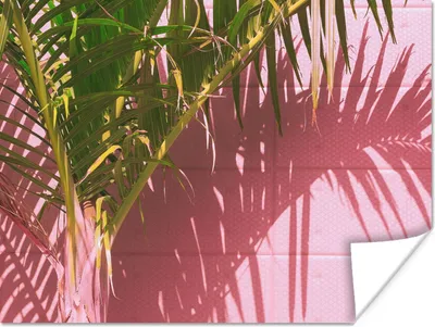 Produktbild von MuchoWow® Poster Pflanze - Sommer - Tropisch - Rosa 120x90 cm - Wandbild