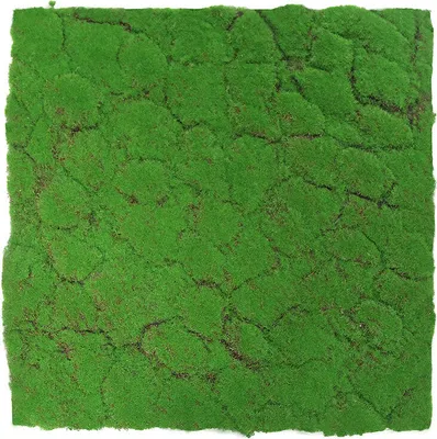 Produktbild von JANGAL Modular Wall Akustik 3D Paneele  520 x 520 mm Forest Green Design Moos Kunst Pflanzenwand Moospaneele