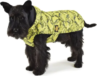 Produktbild von Fashion Dog gesteppter Regenmantel für Hunde - 39 cm
