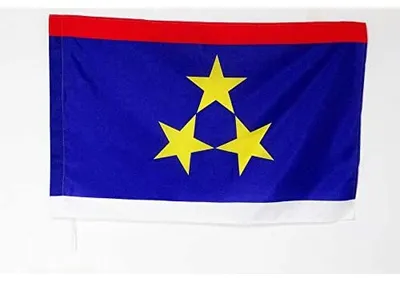 Flagge Vojvodina 90x60 cm Polyester 100D mit Masttunnel