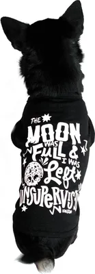Produktbild von Killstar Hundetop - Full Moon S