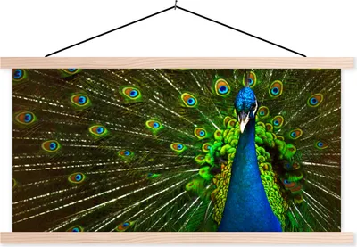 Produktbild von MuchoWow® Textilposter Pfau - Federn - Muster - Blau 60x30 cm mit holzfarbenen Rahmen - Dekoration
