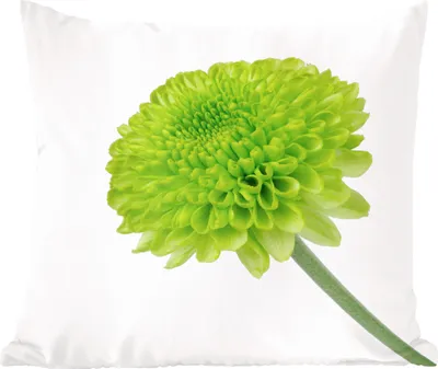 Produktbild von MuchoWow® Zierkissen Sofakissen Wohnzimmer Dekokissen 45x45 cm Grüne Chrysantheme - Schlafpolster - Polster für das Sofa