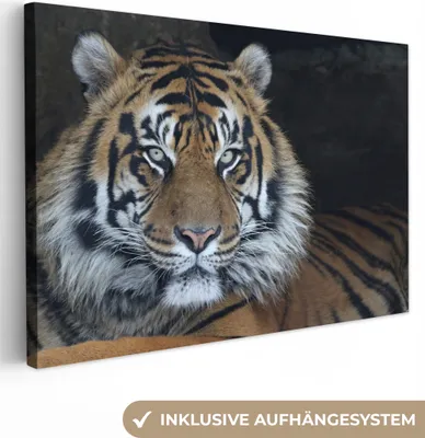 Produktbild von OneMillionCanvasses® - Leinwandbilder - 150x100 cm, Tiger - Höhle - Natur, Wandbilder Kunstdruck Wanddekoration