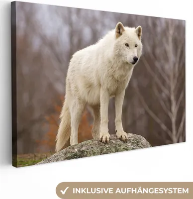Produktbild von OneMillionCanvasses® - Leinwandbilder - 140x90 cm, Wolf - Stein - Weiß, Wandbilder Kunstdruck Wanddekoration