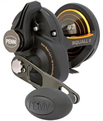 Produktbild von PENN Squall II SQlII30LD Multirolle