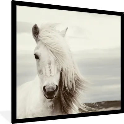 Produktbild von MuchoWow® Gerahmtes Poster Pferd - Strand - Mähne 40x40 cm - Poster mit Schwarzem Bilderrahmen Wandposter Rahmen Foto Bilder - Mit Rahmen - Wanddekoration Schlafzimmer