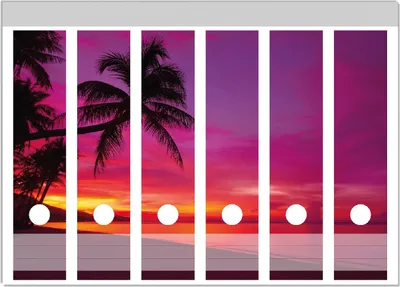 Produktbild von Wallario Ordnerrücken Sticker, selbstklebend für breite Ordner, 6 Stück, Motiv Abendrot unter Palmen - pinker Himmel am Strand