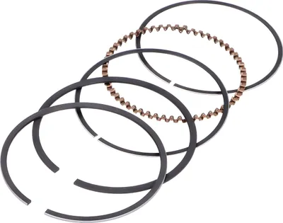 Immagine prodotto di Fasce elastiche Naraku V. 79cc per Piaggio 4T
