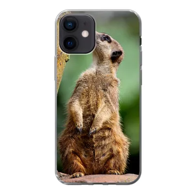 Produktbild von MuchoWow® Handyhülle Schutzhülle Hülle für iPhone 12 Erdmännchen - Tier - Rock Silikon Softcase Handy Hülle - Schutzhülle