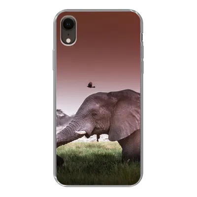 Produktbild von MuchoWow® Handyhülle Schutzhülle Hülle für iPhone XR Elefant - Gras - Sonne - Tiere Silikon Softcase Handy Hülle - Schutzdeckel