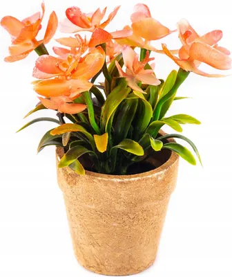 Produktbild von Dekorative Kunstblume 17cm - Farbenfrohe Kunstpflanze im Topf - Pflegeleicht & Schön