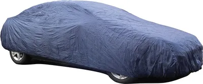 Obrázok produktu pre Autopoťah Carpoint Polyester M 432x165x119cm Modrý