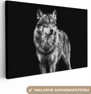 Obrázek produktu pro OneMillionCanvasses® - Obraz na plátně - Vlk - Zvířata - Divoká - Černá - Bílá, nástěnná malba, nástěnné dekorace obrazy obývací pokoj, 120x80cm