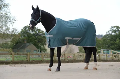 Produktbild von Freedom Twill Sheet, Sommerdecke, Mallard Green, 130 cm