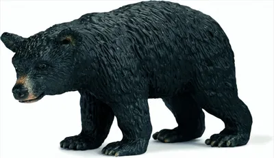 Image de SCHLEICH 14316 Ours noir