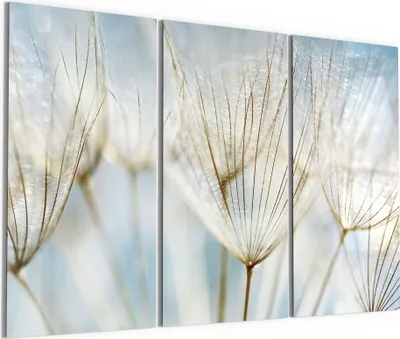 Produktbild von DEQORI Glasbild Echtglas 3x50x100 cm 'Löwenzahnsamen nah' Wandbilder XXL groß