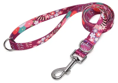Productafbeelding van Verstelbare hondenhalsband van zacht nylon, comfortabele trainingslijn met dubbele D-ring, geschikt voor kleine, middelgrote en grote honden, 120 cm x 2 cm