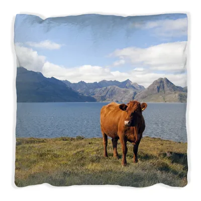 Produktbild von Wallario Premium Kissen, weiche Oberfläche, mit Motiv Kuh in den Bergen, Größe: 60 x 60 cm, mit weißer Rückseite