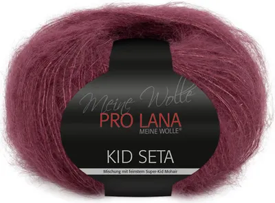 Produktbild von Pro Lana Kid Seta Uni 25g (38)