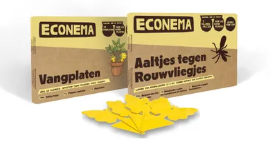 Productafbeelding van Econema Combipakket aaltjes tegen rouwvliegjes 10 m² + 10 gele vangplaten