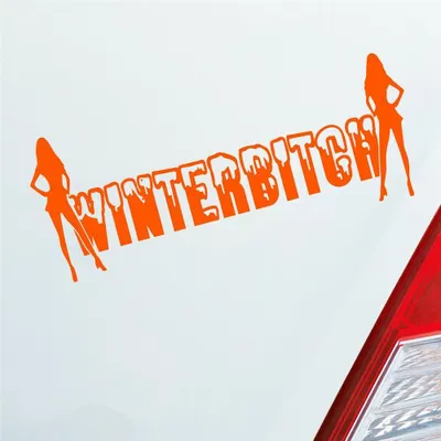 Produktbild von Auto Aufkleber Winterbitch Winter Bitch Schnee Tuning 15x6 cm Orange Sticker Heckscheibenaufkleber