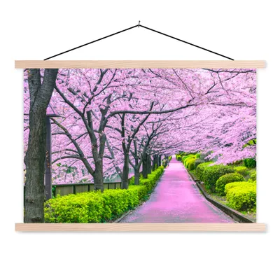 Obrázek produktu pro MuchoWow® Textilní plakát - Sakura - Japonsko - jaro - 60x40cm - S hnědými lamelami