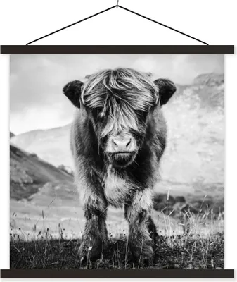 Produktbild von MuchoWow® Textilposter Schottisches Hochlandrind - Berg - Schwarz - Weiß 120x120 cm mit schwarzem Rahmen - Aufhängungsset