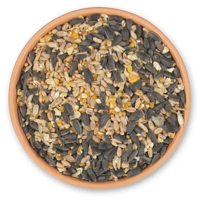 Produktbild von CJ Wildlife Streufutter für Wildvögel 2,5kg - -Mischung - ganzjährig - ohne Pestizide - Boden- & Tischfütterung, nicht für Futtersäulen
