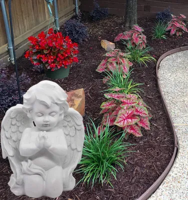 Image de Statue d'un ange agenouillé, de couleur blanche, dimensions 15,9 x 12,7 cm, pour intérieur et extérieur