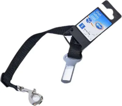 Image de Ceinture de sécurité DUVO+ 2,5 x 40 - 70 cm