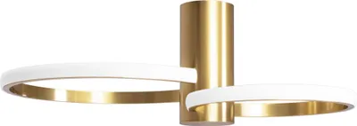 A product shot of a ceiling light.