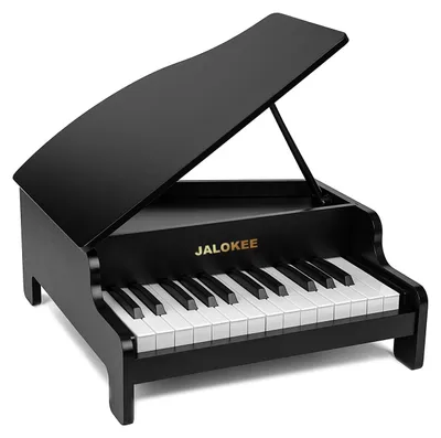 Kinderpiano, 25 Tasten, Holz, schwarz, pädagogisches Musikspielzeug
