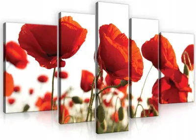 Obrázok produktu pre Obraz na plátne kvety príroda SET 170x100 cm 5 kusov moderné obrazy na plátne XXL obrazy na plátne obrazy na plátne obrazy na plátne spálňa obývacia izba obrazy na stenu umenie tlač obraz na plátne pripravené na zavesenie