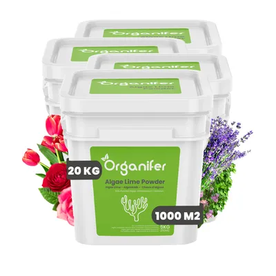 Produktbild von Algenkalk-Pulver - Reines Lithothamnium calcareum (20 kg für 1000 m2)- Organifer