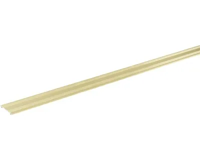 Obrázek produktu pro Přechodová lišta Skandor samolepicí 2700 x 28 x 2 mm champagne