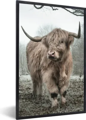 Produktbild von MuchoWow® Gerahmtes Poster Schottische Highlander - Natur - Herbst - Tiere - Wildtiere - Wald 60x90 cm - Poster mit Schwarzem Bilderrahmen Wandposter Rahmen Foto Bilder - Kunst