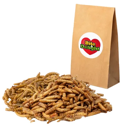Produktbild von Bite&Delight Getrocknete Larven der Schwarzen Soldatenfliege 1kg / 1000g – Natürliche Proteinquelle für Geflügel, Wildvögel, Reptilien und Kleintiere