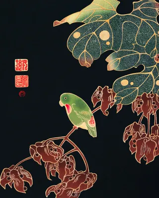Obrázok produktu pre Plagát 40 x 50 cm Papagáj, japonský Jakuchu Vintage