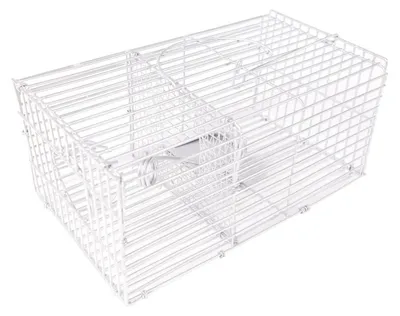 Produktbild von KLAKTRAP Lebendfalle für Ratten | rechteckig (41 cm)