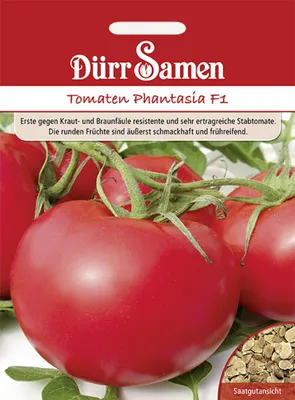 Produktbild von Dürr-Samen - Tomaten Phantasia F1 - Saatgut - 1761